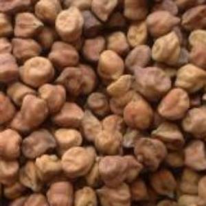 Black Chickpeas