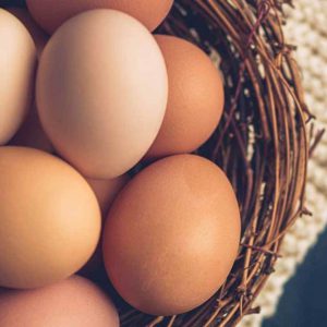 Egg