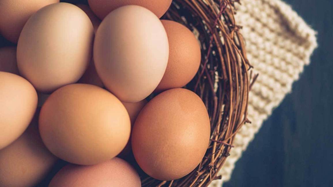 Egg